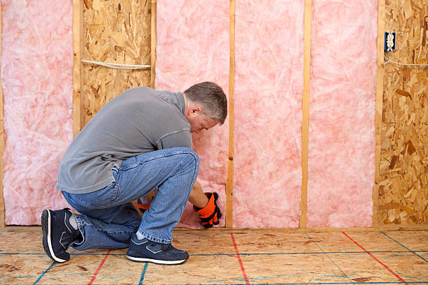 Best Insulation Maintenance and Repair in Boiling Springs, SC